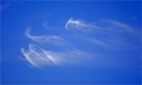 xirrus feather cloud
